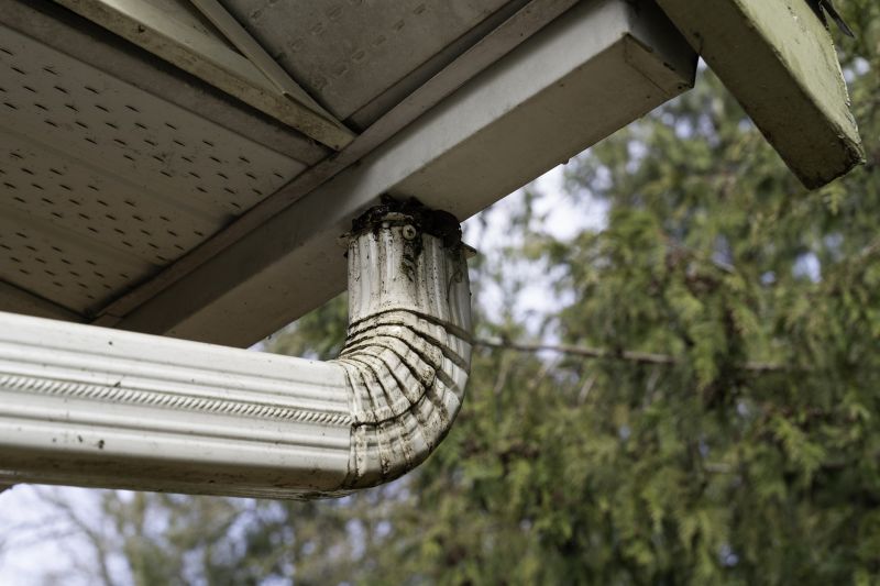 Flushing Downspouts