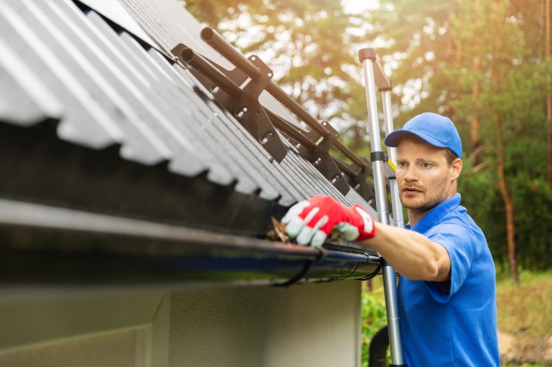 Cleaning Roof Gutters