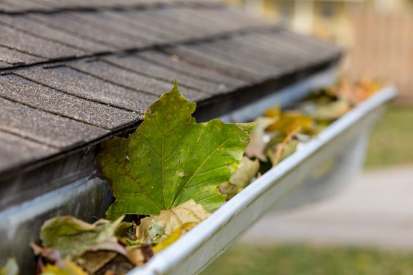 Commercial Downspout Cleaning in Fayetteville