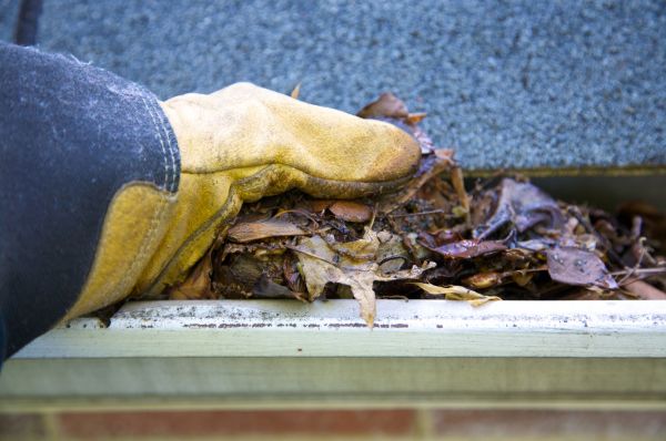Cost of Jammed Gutter Cleaning in Fayetteville