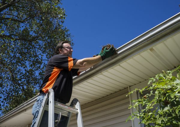Cost of Eavestrough Clearing in Fayetteville