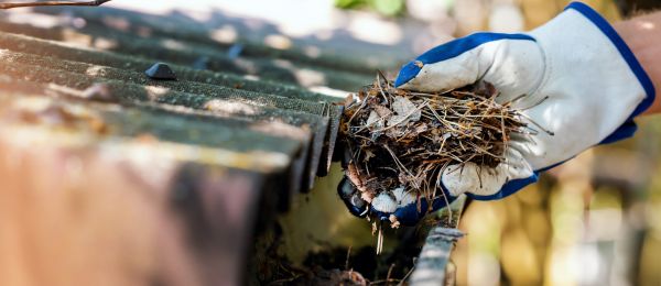 Pine Needle Gutter Cleaning in Fayetteville
